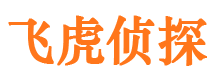 特克斯侦探